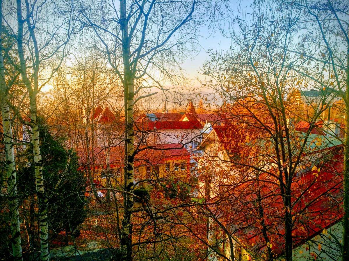 Vysoké Tatry Apartment Lucy - Primo Tatry Stary Smokovec מראה חיצוני תמונה